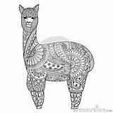 Zentangle Alpaca sketch template