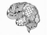 Brain Coloring Kreativer Dekorative Gekritzels Kurven Gehirns Verstand Menschlichen Decoratieve Creatieve Mening Menselijke Krommen Spine Stress Supercoloring Anatomy sketch template
