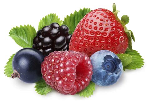 types  berries   health benefits nutrition advance