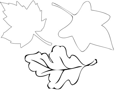 leaves template clipart