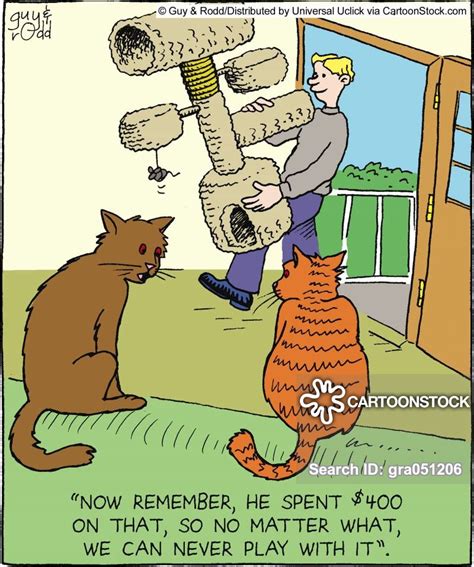 cat toy cartoons and comics funny pictures from cartoonstock