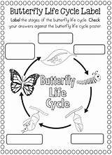 Butterfly Preschoolactivities Cycles Actvities Salvato sketch template