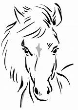 Cavalli Cavallo Testa sketch template