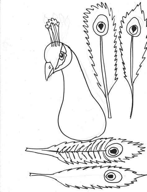 printable feather template learning crafts peacock  great