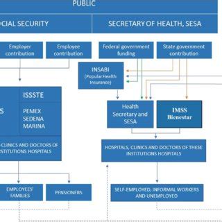 health care system  mexico  scientific diagram