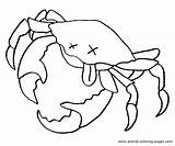 Crab Hermit Coloring Pages Clipart sketch template
