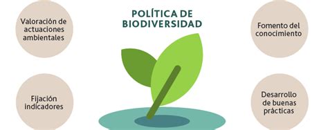 Medio Natural Y Biodiversidad Acciona Infraestructuras Sostenibles Y