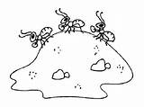 Anthill Coloring Pages Ants Template Kids Card Color sketch template