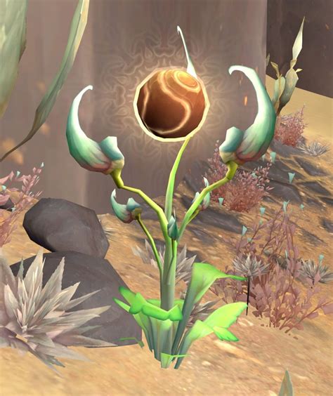 First Flower Item World Of Warcraft