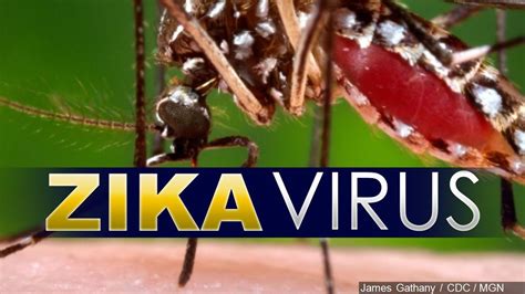 doctors confirm first death connected to the zika virus in the united