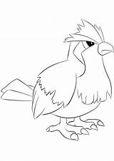 Pokemon Pidgey Coloring Pages Drawing Printable Generation Kids Normal Color Type Line Print sketch template