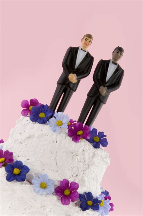 same sex marriage issue could be fast tracked at sixth circuit sixth circuit appellate blog