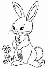 Rabbit Carrot Coloring Pages Animals Printable Categories Kids Books Coloringonly sketch template