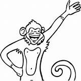 Coloring Pages Monkeys Apes Monkey Surfnetkids Next sketch template
