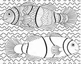 Ornate Fishes Zentangle Depositphotos sketch template