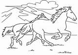 Coloriage Cheval Chevaux Mignon Horses Trop Mustang Ordinateur Animaux Pinto Coloringhome Catégorie Getdrawings sketch template
