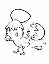 Chick Baby Coloring Hatching Color sketch template