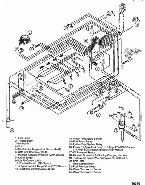 mercruiser   distributor wiring diagram wiring diagram