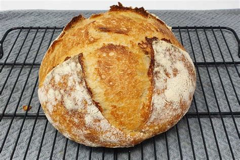 beginner sourdough bread full guide recipe true sourdough