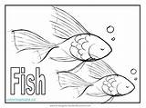 Coloring Fish Pages Tuna Animal Realistic Printable Wildlife Clipart Getcolorings Color Puffer Koi Slippery Worksheets Printouts Mazes Addition Library Line sketch template