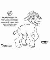 Lamb Coloring Lottie Kids Answers Pdf Activity Answersingenesis sketch template