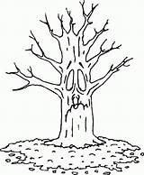 Drzewa Autunno Arbol Kolorowanki Dzieci Invierno Imagui Arboles Seco Secos Otono Crtež Drzewka árboles Toamna Automne Copaci Tronco árbol Pintar sketch template