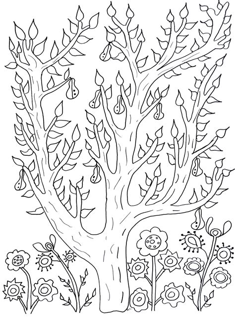 pear tree flowers adult coloring pages