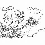 Coloritura Uccello Impagina Vettore Kleuren Zabawny Kolorowanka Fototapeta Ilustracja Owl Myloview sketch template