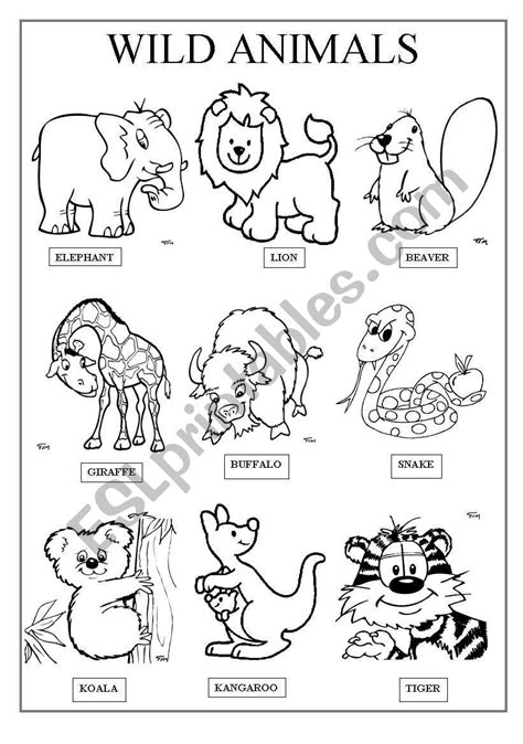 sheet  teach  wild animals children   fun