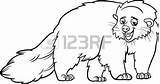 Cartoon Bearcat Coloring Binturong Vector Stock 238px 63kb Shutterstock sketch template