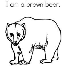 black  white drawing   bear   words    brown bear