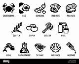 Food Allergies Outlined Allergy Alamy Including Icons sketch template