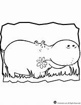 Hippo Coloring Pages Hippopotamus Animal Kids Jr Color Hippos Geeksvgs Elephant Drawing Cartoon Colouring Send Getdrawings Popular Books sketch template