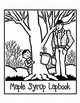 Maple Syrup Homeschoolshare Lapbook sketch template