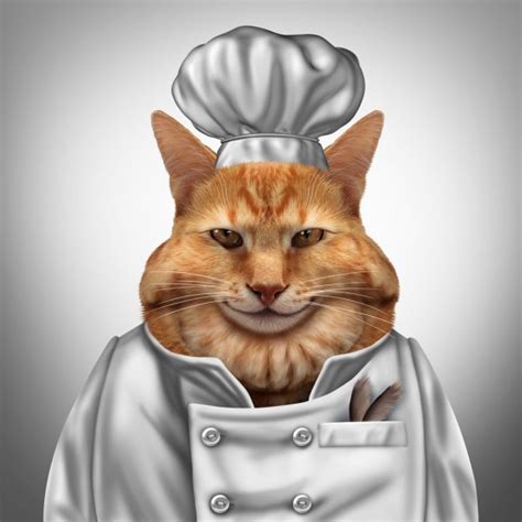chef cuisinier de chat — photo 108124354