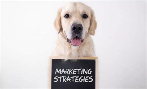 pet business marketing proven strategies  maximize  efforts