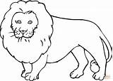Coloring Lion Pages Printable Drawing Paper sketch template