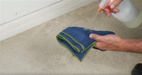 remove nail polish  carpet easy method spotcarpetcleaners