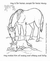 Coloring Foal Horse Pages Mother Getdrawings Getcolorings Food Printable sketch template