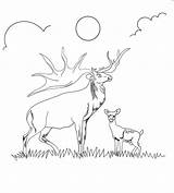 Reindeer Caribou Scribblefun Duo sketch template