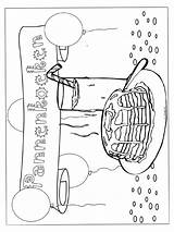 Pannenkoeken Diversen sketch template