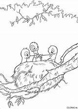Coloring Bambi Pages Nestling Cartoons Nest Bird Birds Coloriage Nests sketch template