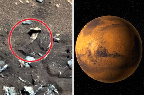 alien news nasa told to own up over mars extraterrestrial proof