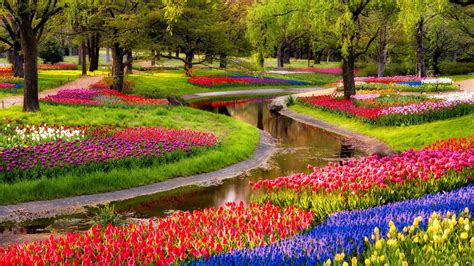 wallpaper beautiful spring scenery    massive amount  hd