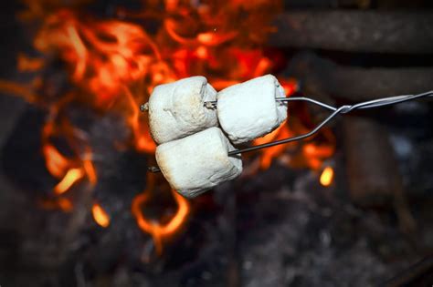 roasting marshmallows raising edmonton