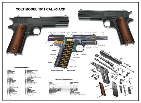 poster  usarmy colt  cal  acp manual exploded parts diagram ww etsy