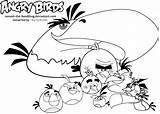 Angry Coloring Birds Pages Z31 Stella Bird Colouring Popular sketch template