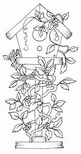 Coloring Pages Birdhouse Vines Bird Embroidery Birdhouses Houses Patterns Book Country Digital Stamps Beccy Digi Color Adult Christmas Colouring Sheets sketch template