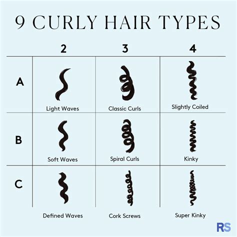 youre curious    hair type  belong