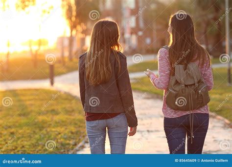 friends walking   sunset stock image image  females